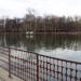 Пруд в городе Нижний Новгород