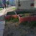 Клумбы в городе Череповец