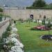 Lower Flower Garden at Nishat Bagh in Srinagar city
