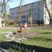 Арт-квітник «Музика» в місті Житомир