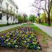 Łódź - Pasaż, Aleja Artura Rubinsteina in Łódź city