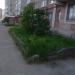 Клумба в городе Череповец