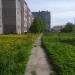 Бетонная дорожка в городе Череповец