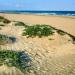 Beaches of Sagunto