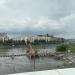 Бывшая база реагентов № 7 «Антилёд» в городе Москва