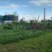 Японский сквер в городе Киев