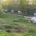Здесь располагались кабины дизелей в городе Долгопрудный