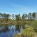 Пруд в городе Поварово