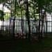 Площадка для игры в настольный теннис в городе Москва