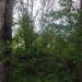 Руины в городе Череповец