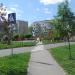 Пешеходный переход в городе Вышгород