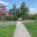 Пешеходный переход в городе Вышгород