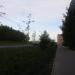 Аллея в городе Череповец