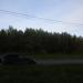 Густой лесок в городе Череповец