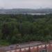 Роща в городе Череповец