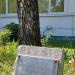 Береза, которую маршал Чуйков посадил в 1979 году. в городе Москва