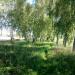Роща в городе Домодедово