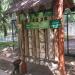 Стенд с видами разных деревьев в городе Москва