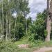 Старый фонарный столб в городе Москва