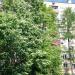ул. Чугунные Ворота, 17 в городе Москва
