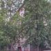 Новороссийская ул., 5 корпус 1 в городе Москва