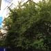 ул. Остоженка, 38 строение 2 в городе Москва