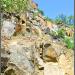 Скеля, прірва в місті Житомир