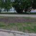 Цветник в городе Череповец