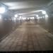 Подземный пешеходный переход «Пехотная»