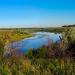 Пруд в нижнем течении балки Зелёной