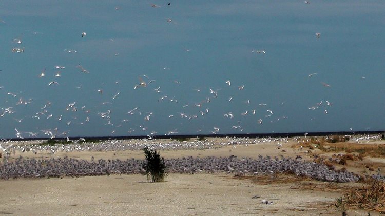 Ogurchinskiy Island (Turkmenistan)