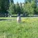 Камень в городе Москва