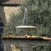 Fountain Piazza Santo Spirito in Florence city