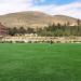 Facultad Nacional De Ingeniería en la ciudad de Oruro