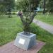 Скульптура в городе Киев