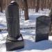 Могилы H.В. и В.В. Вильямсов и лесовода Н.С. Нестерова в городе Москва