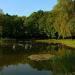 Park Górnik (pl) in Siemianowice Śląskie city