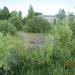 Прудик в городе Кимры
