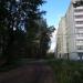 Тополиная аллея в городе Череповец