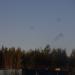 Лес в городе Череповец