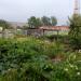 Разрушенные сарайки в городе Череповец