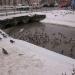 Водопропускные трубы руч. Поныри под автодорогой в городе Щёлково