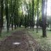 Бывшая тренировочная картинг-трасса в городе Киев