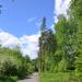 Шарташский лесопарк в городе Екатеринбург