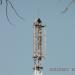 Бывшая базовая станция № 27-136 сети подвижной радиотелефонной связи ПАО «Мобильные ТелеСистемы» («МТС») стандартов DCS-1800 (GSM-1800), UMTS-2100, LTE-1800, LTE-2600 (ru) in Khabarovsk city