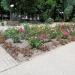 Flower bed in Homieĺ city