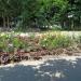 Flower bed in Homieĺ city