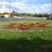 Клумба в городе Москва