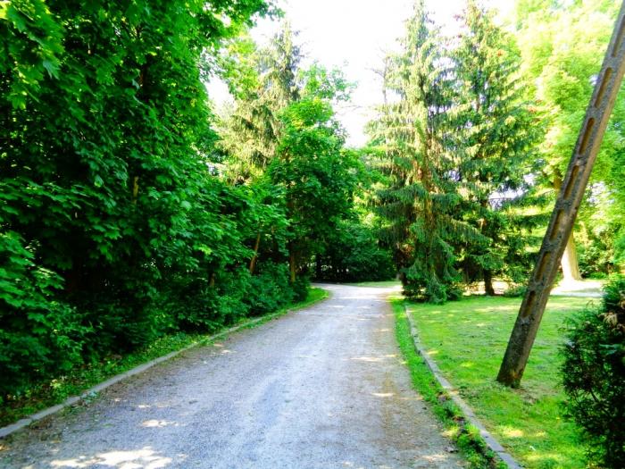 Dawny Urzędnik Dworski Usługujący Królowi Przy Stole Dawny park dworski - Szynczyce