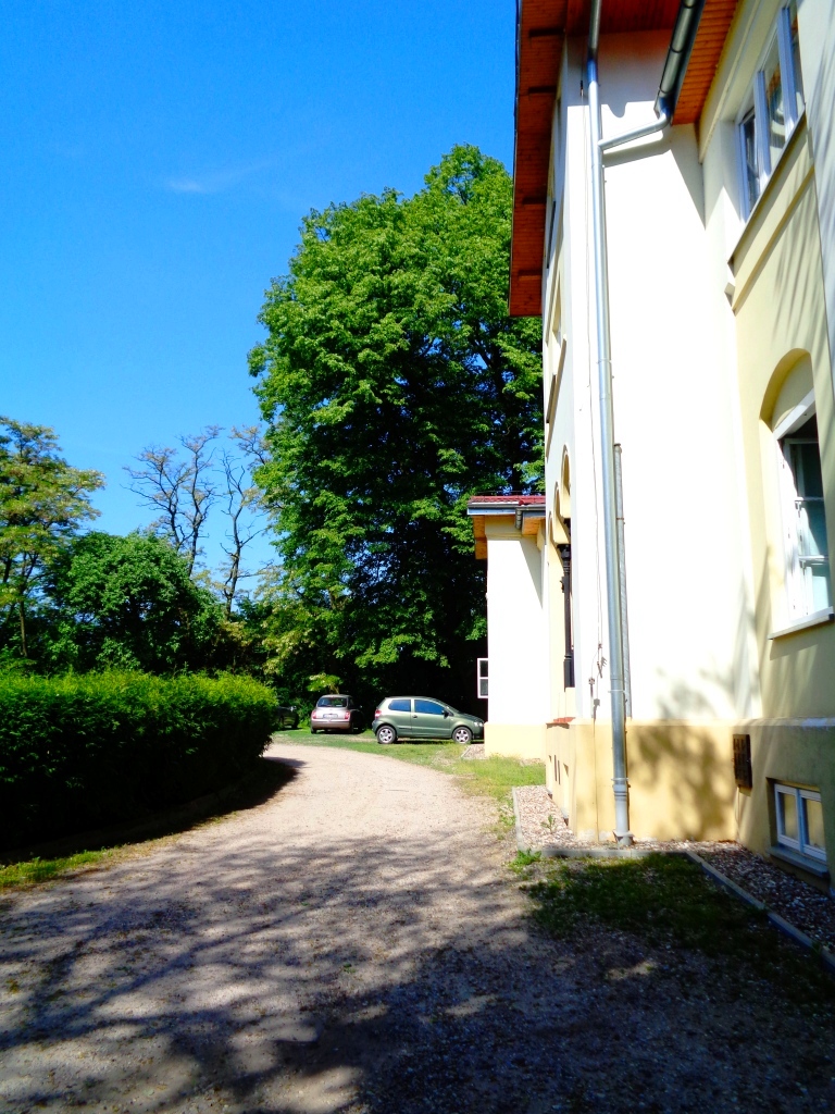Dawny Urzędnik Dworski Usługujący Królowi Przy Stole Dawny park dworski - Szynczyce